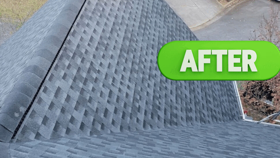 Roofing, Siding, Windows Project in Chicago, IL by Test Tenant