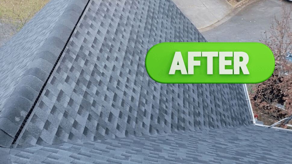 Roofing, Siding, Windows Project in Chicago, IL by Test Tenant
