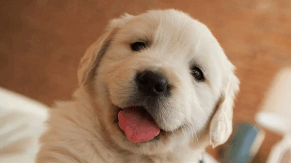 Roofing Project in Griffith, IN by Test Tenant