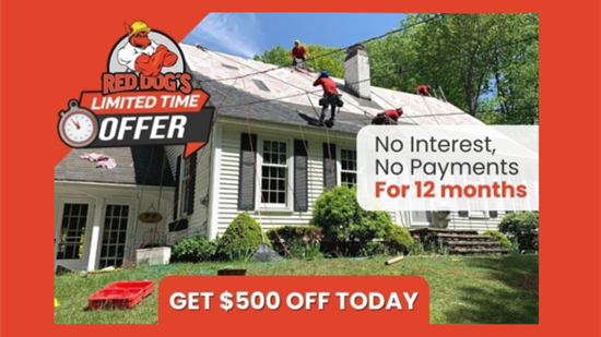 No Interest, No Payments for 12 Months