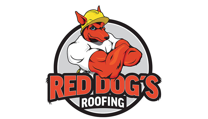 Content Section Image