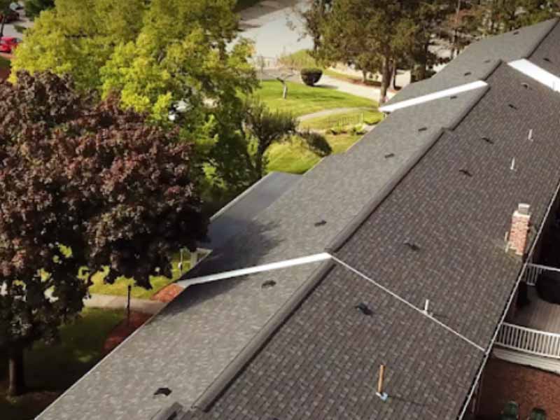 Content Section Image