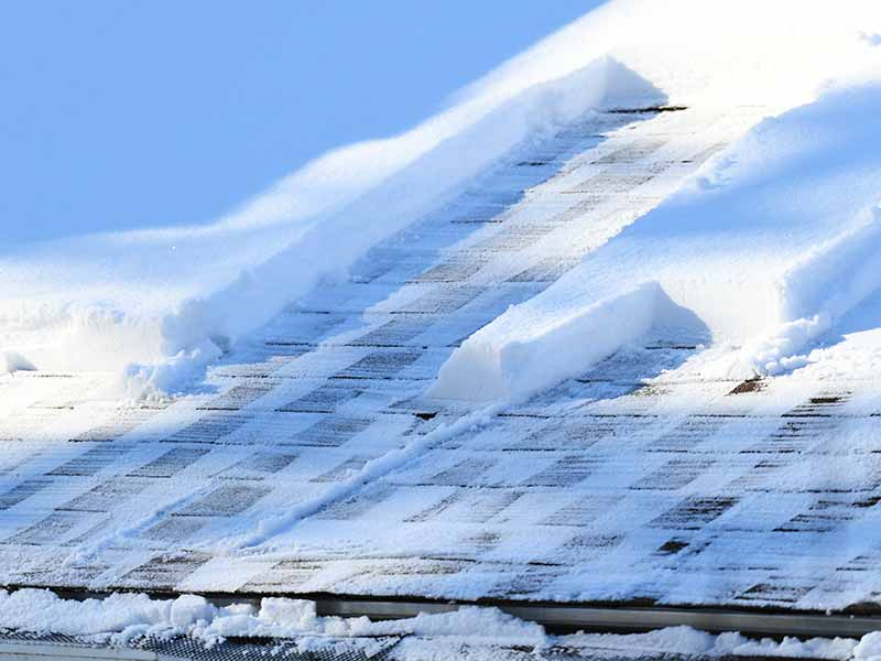 Content Section Image