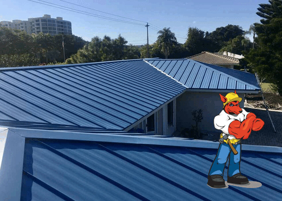 Content Section Image