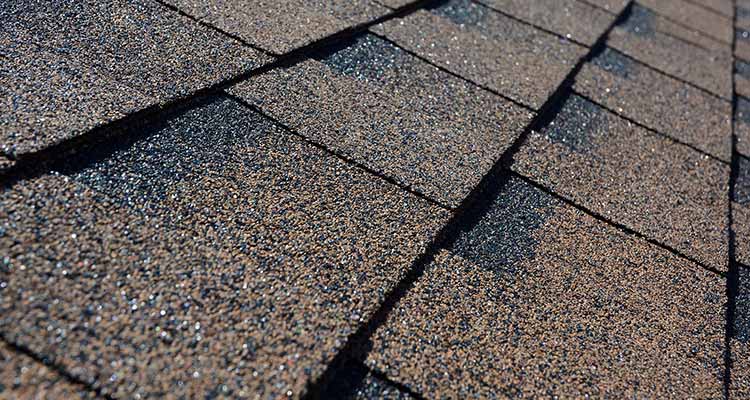 Roof Types 