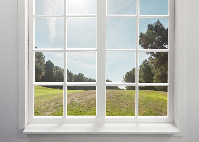 WINDOW STYLE OPTIONS