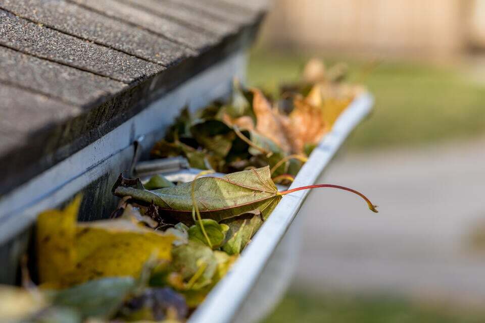 diy gutter guards-leaves and debris filling gutters