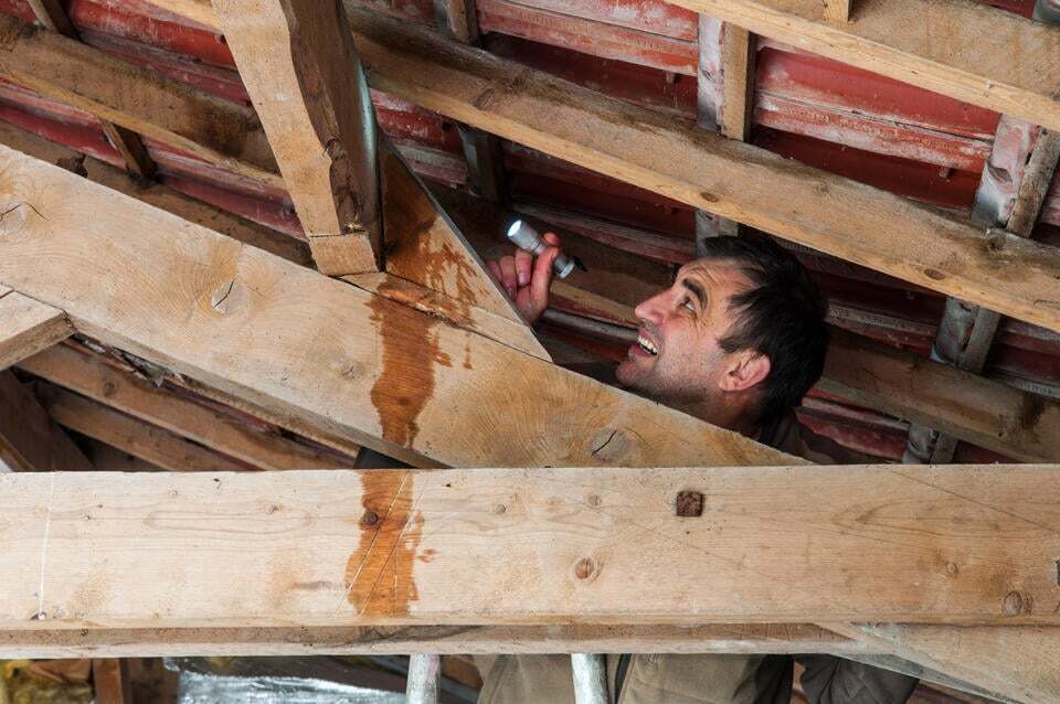 signs of poor attic ventilation-moisture in attic