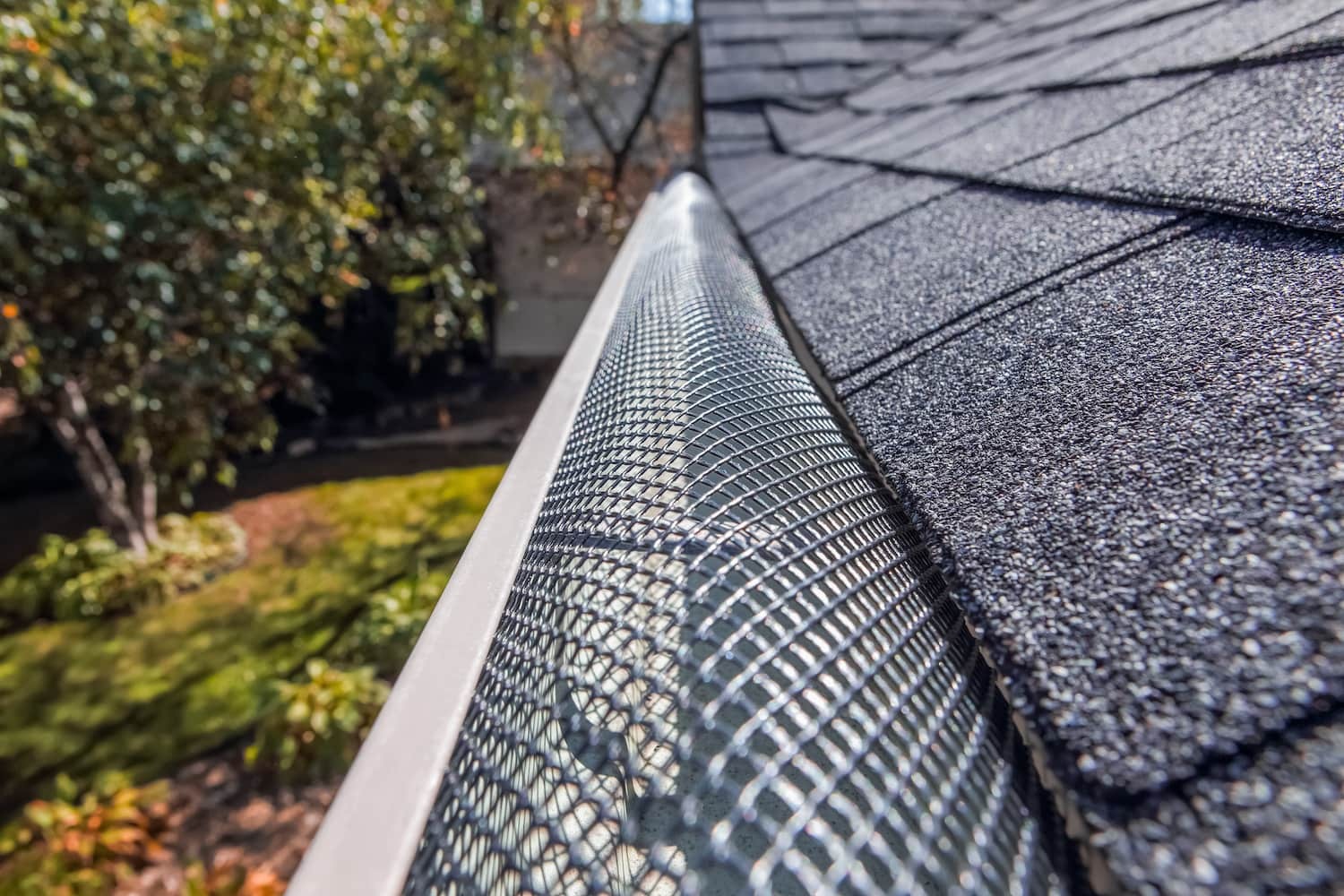 Best Gutter Guards for Pine Needles curved