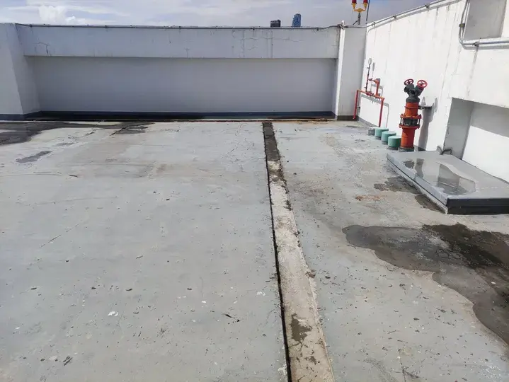 Water damaged flat roof 