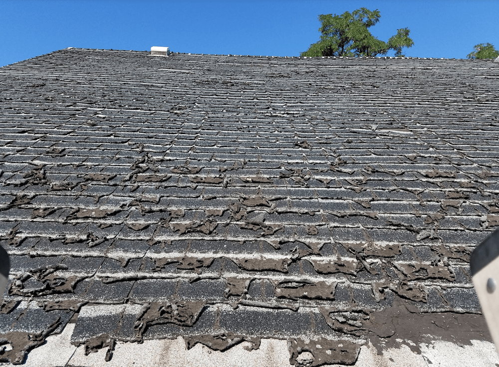 curling shingles roof replacement