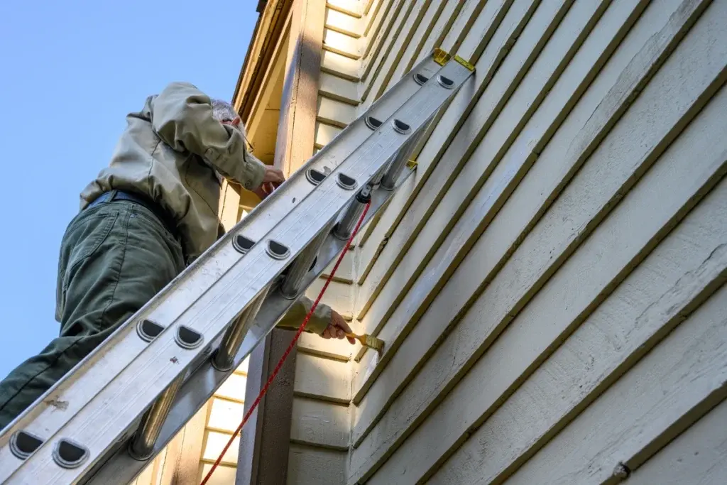 paint on ladder home