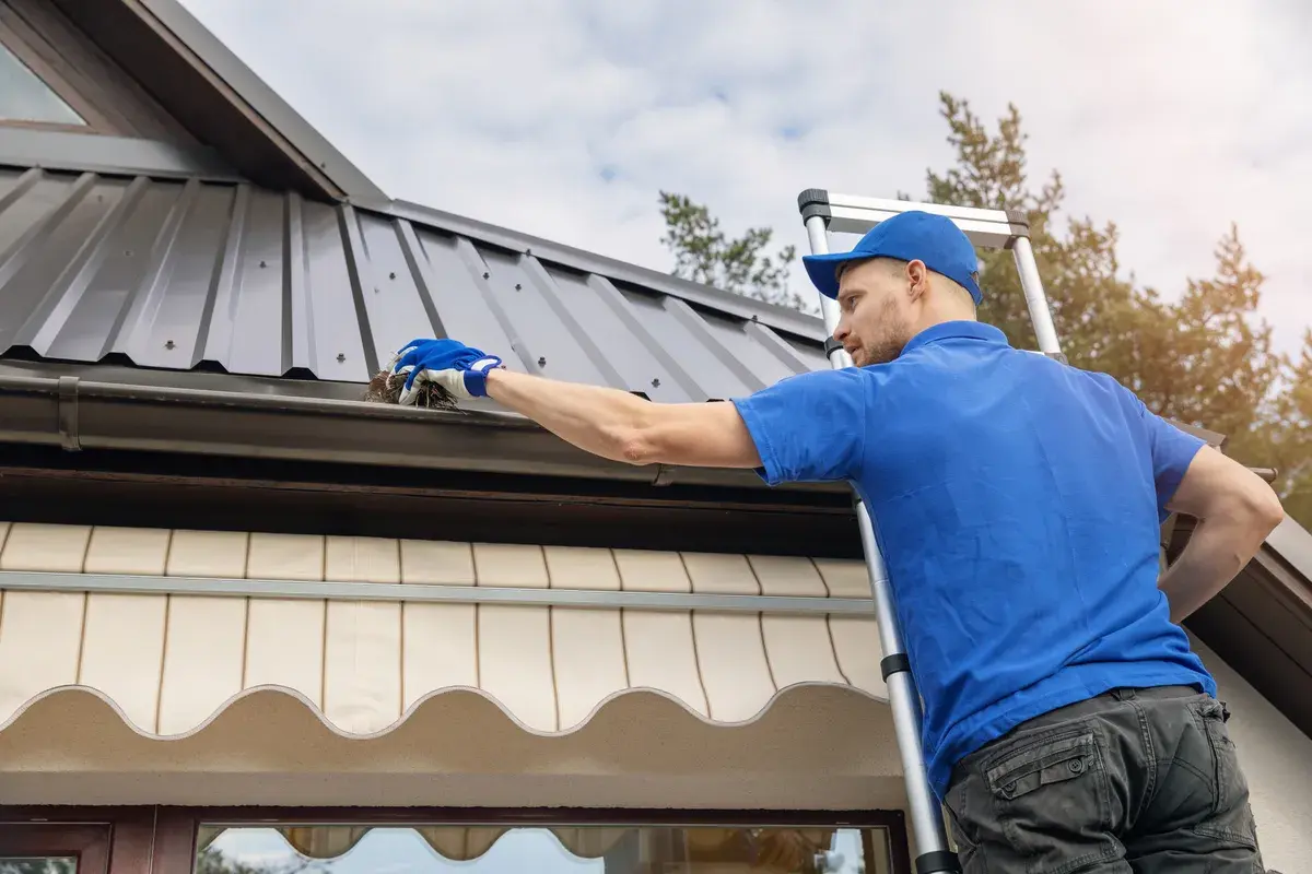 roof cleaning and maintenance by a professional 