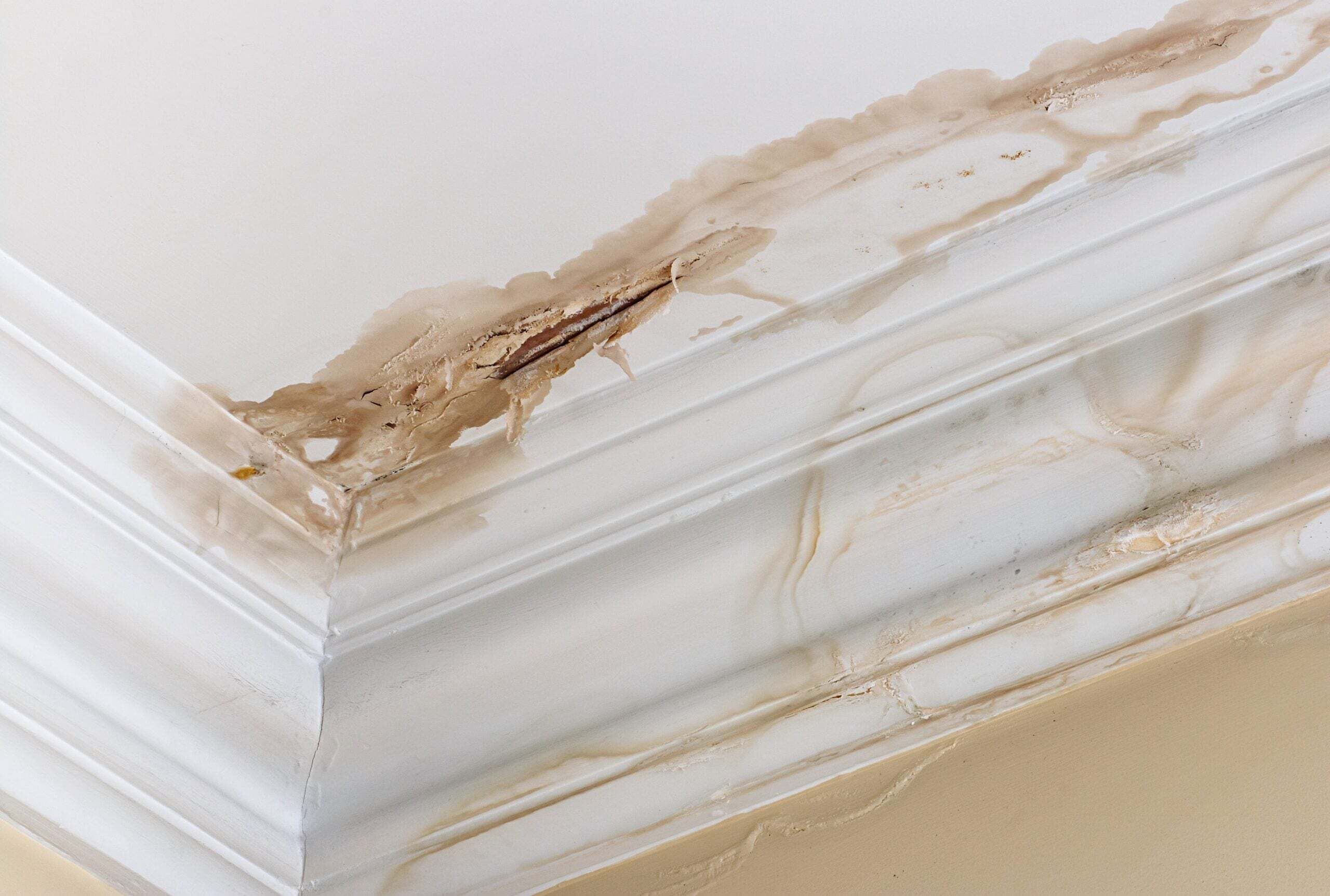 how to find a roof leak from a stained ceiling