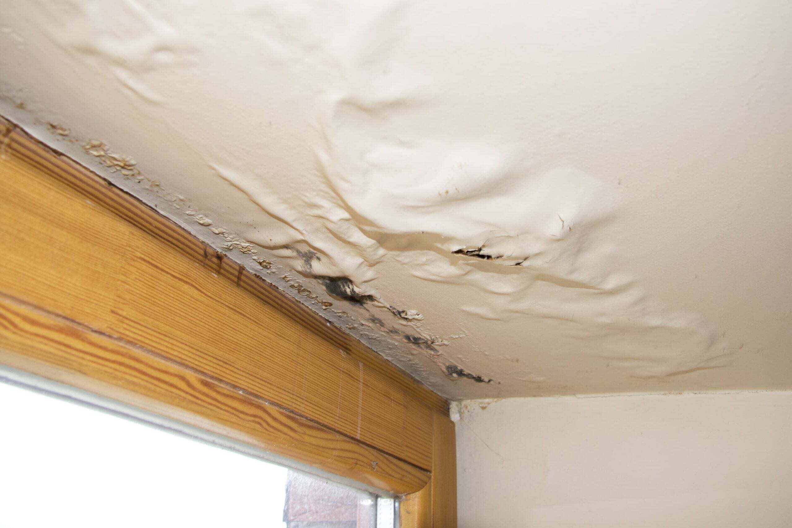 How to find a roof leak from a sagging ceiling
