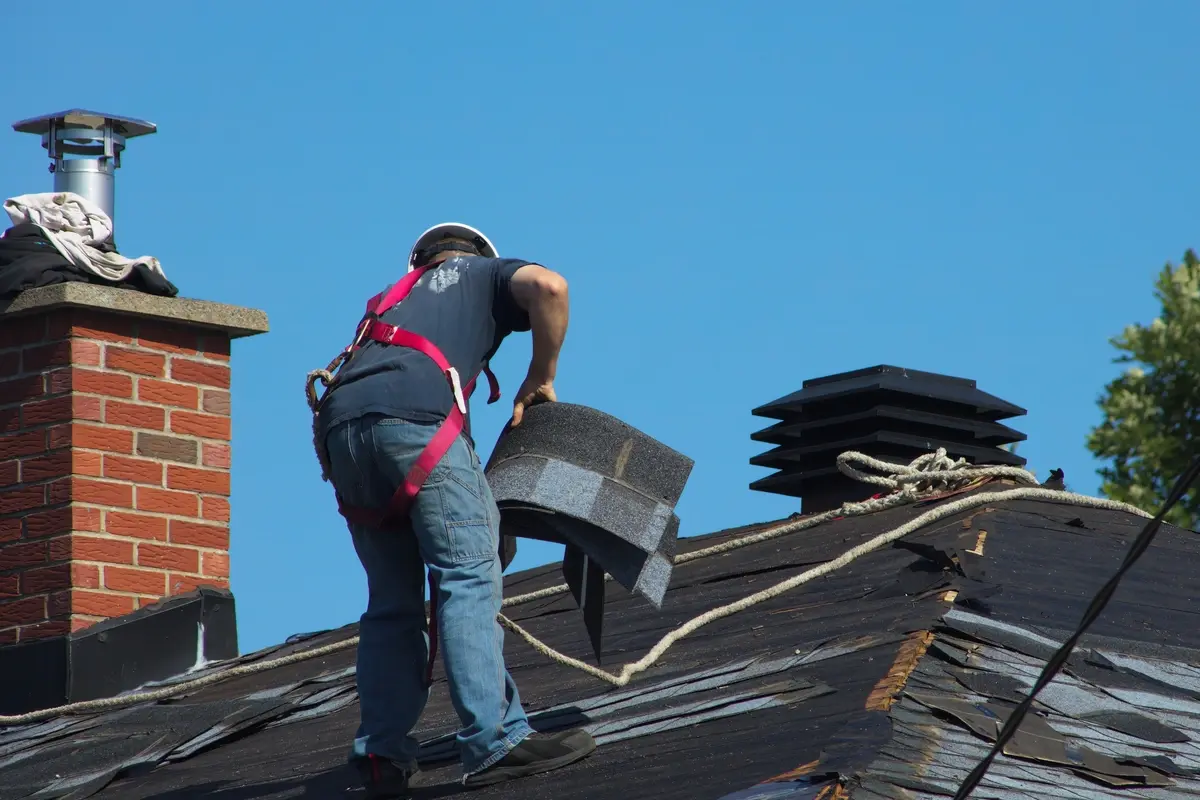 professional removing roof shingles 