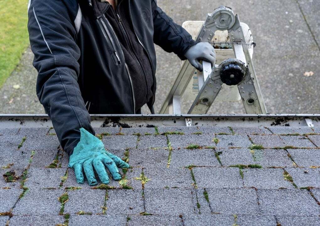 roof maintenance for longest-lasting roof solutions