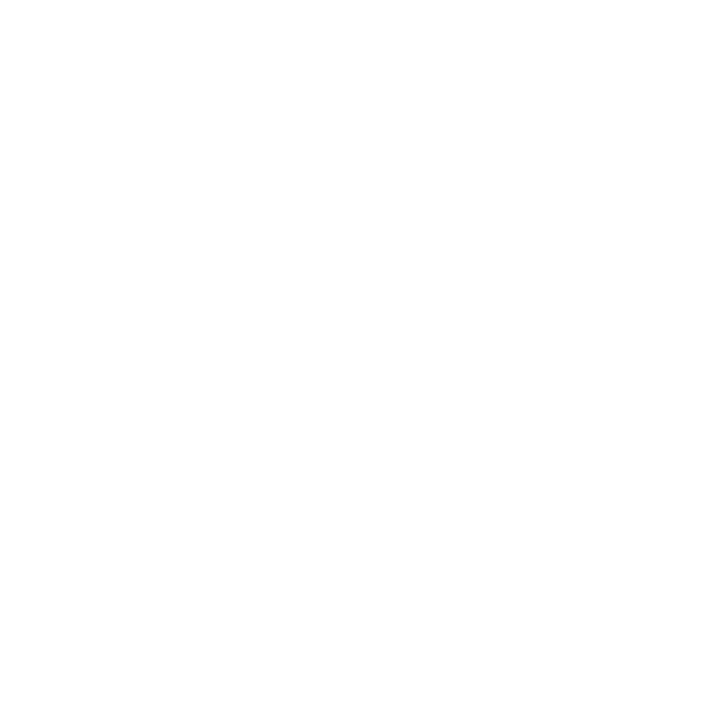 Initial Consultation & Property Review