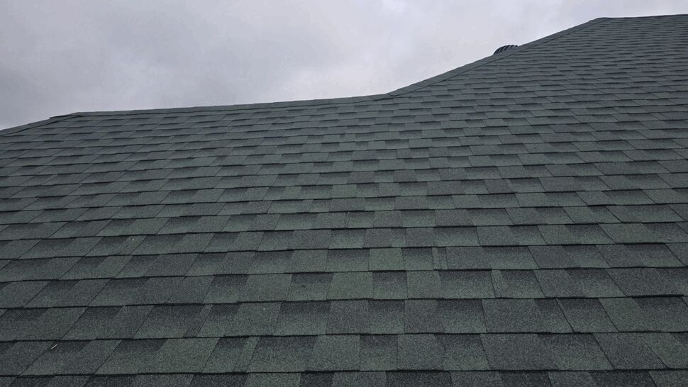 Close-up of Green Asphalt Shingles | First American Roofing & Siding Inc Close-up of green asphalt shingles on a sloped roof