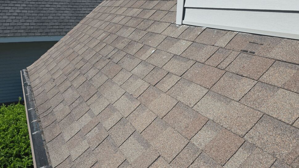 Roof slope with dormer window, siding, and brown asphalt shingles