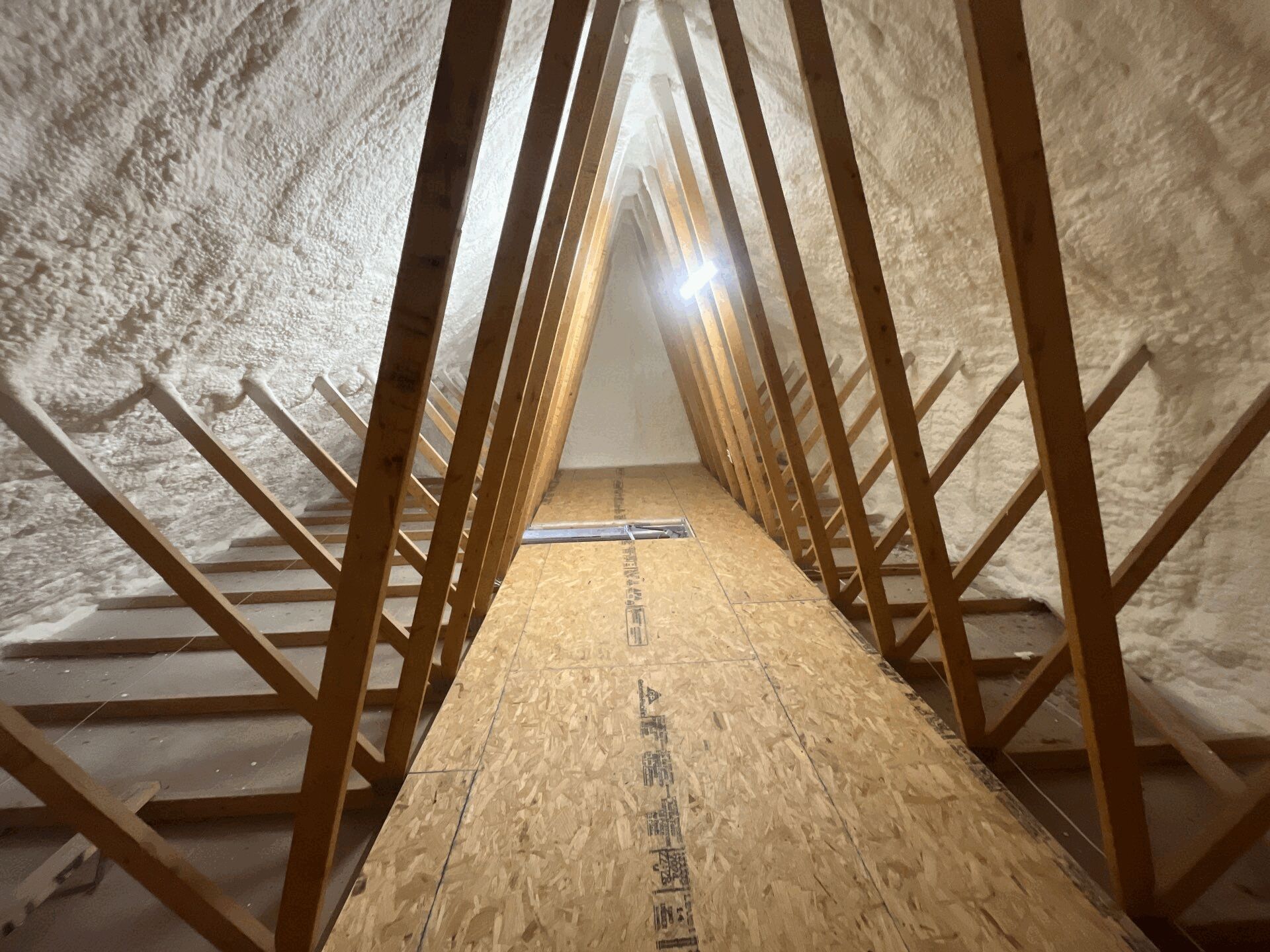 Attic Insulation