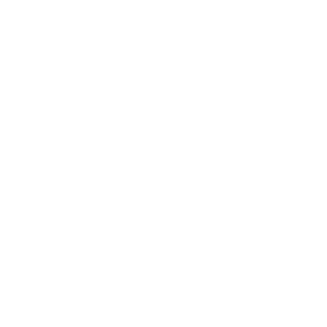 Insurance Support Guidance 
