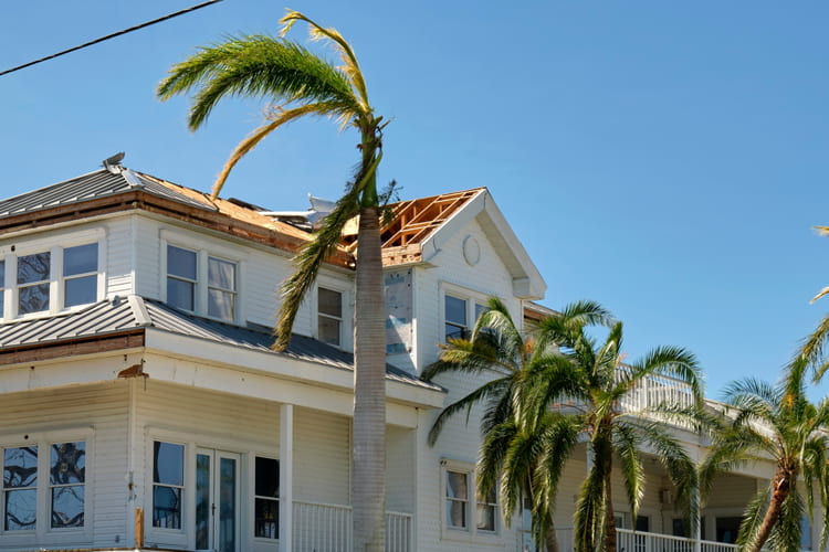 Wind Damage