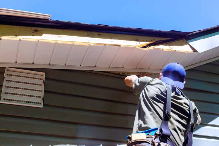 Siding Installation