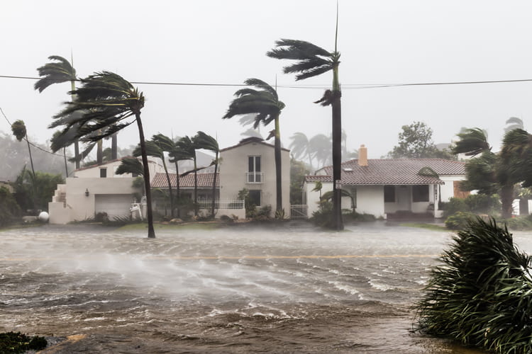 Hurricane Damage