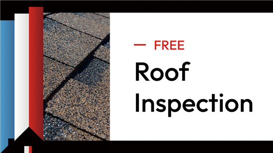 roof inspection