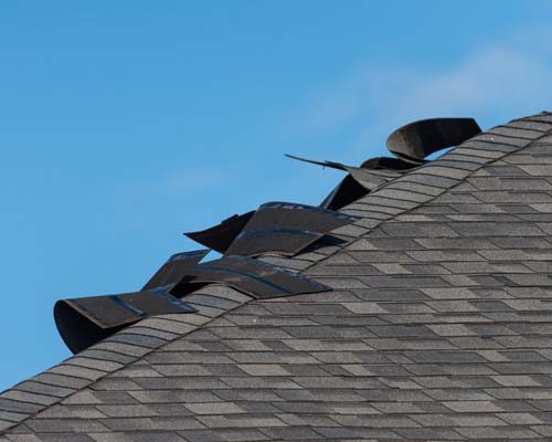Wind Damage
