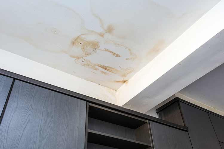 Roof Leaks