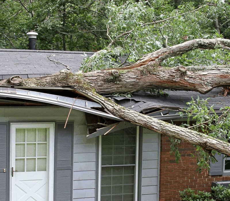 Storm Damage