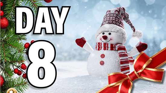 DAY 8