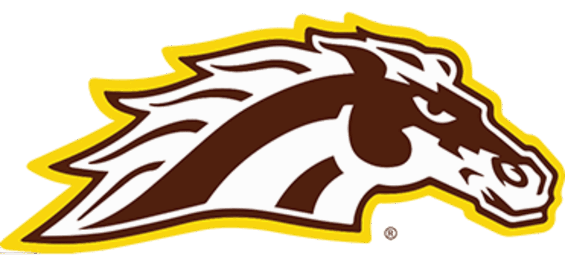 Western Michigan University partnership