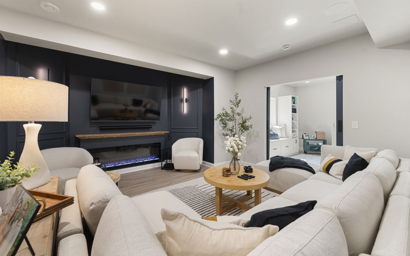 Basement Family Room