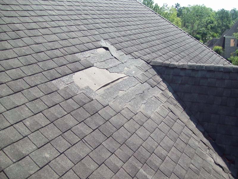 Insurance Claims