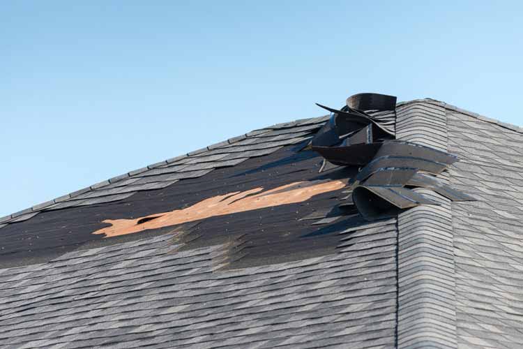 Wind Damage