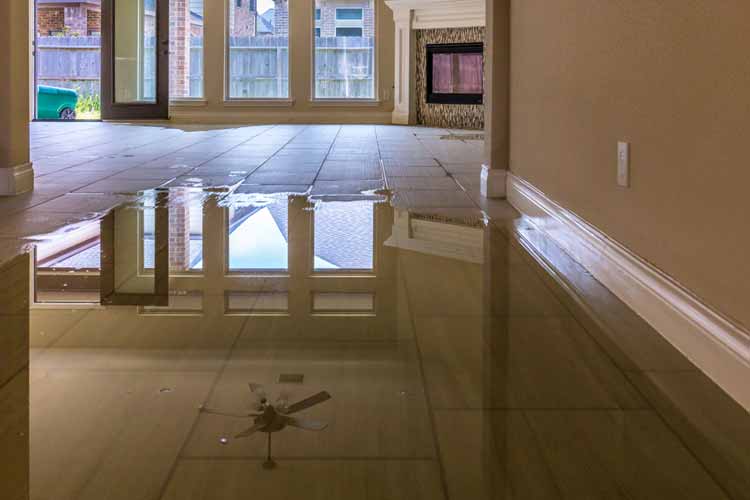 Flood Damage