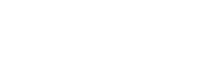 LeafBlaster PRO white logo with 'installed by professionals' tagline