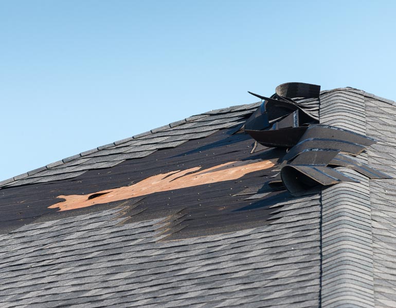Wind Damage
