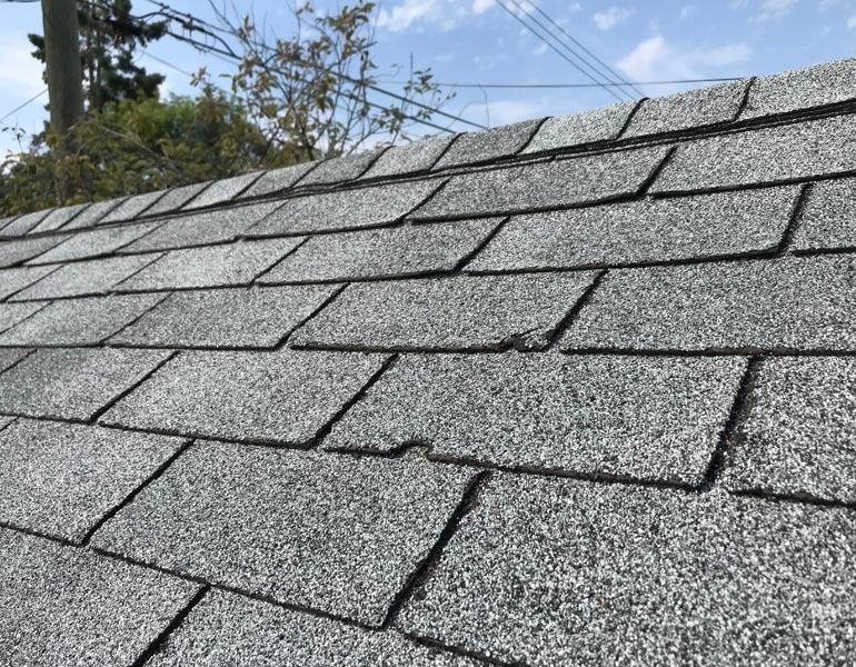 Hail Damage