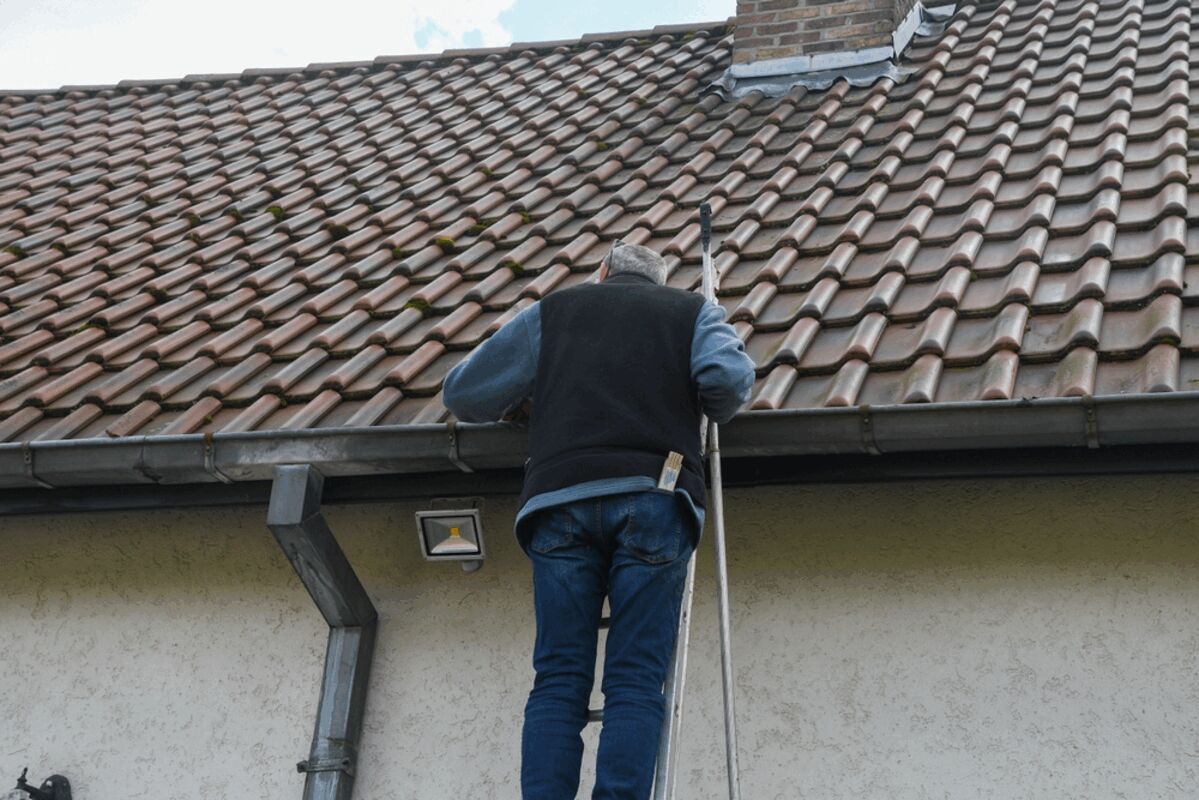 Spring Cleaning: How to Clear Your Gutters and Check for Roof Damage 