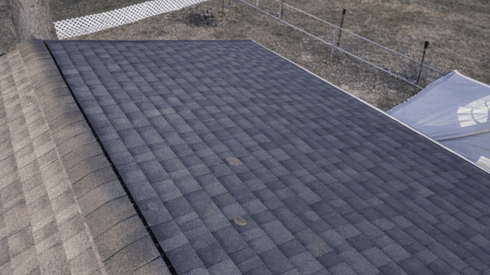 Aerial view of shingled roof overlooking backyard and trees