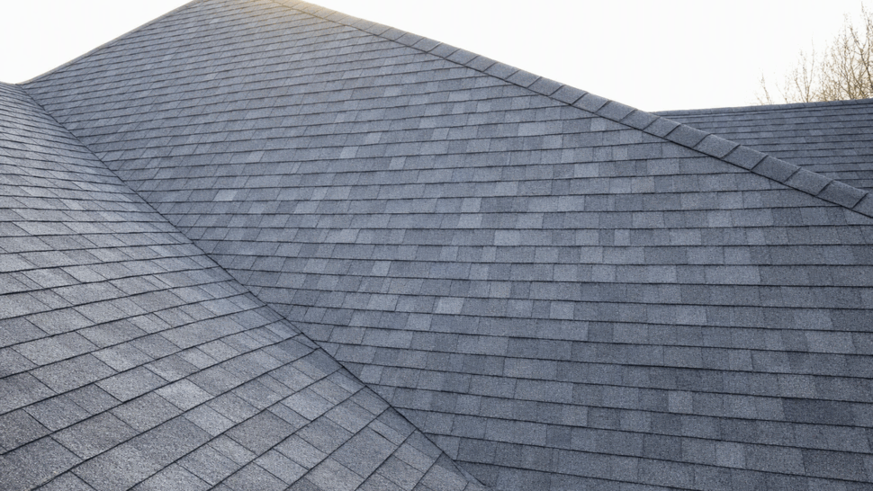 Shingle-covered roof slope and ridge with uniform asphalt pattern.
