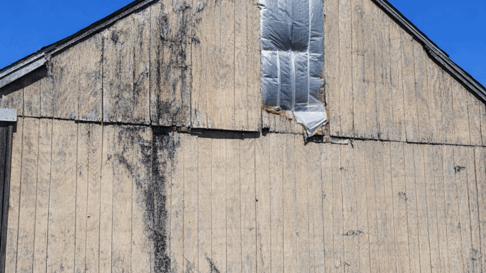 Weathered gable with storm damage | Tycos Roofing And Siding Inc Gable with peeling siding, black streaks and a plastic-covered opening indicating damage