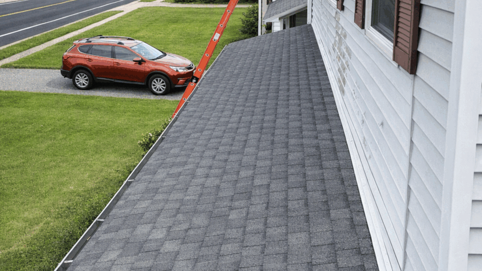 Gutter along the eave with a ladder and house siding visible