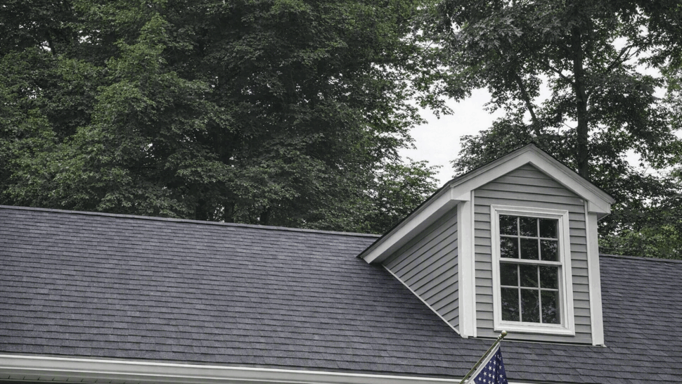 Close-up of dormer window and shingled roof under tree canopy