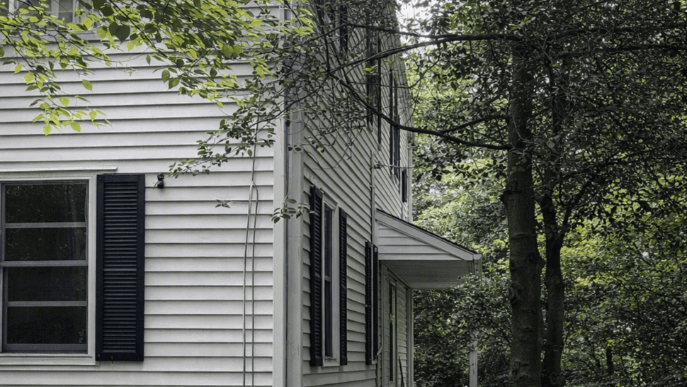 Side elevation of house with multiple windows, vinyl siding and surrounding trees.