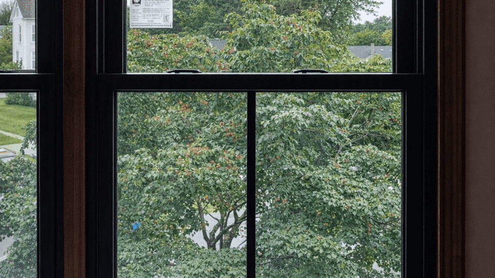 Replacement Window Garden View | Tycos Roofing And Siding Inc Black-framed replacement window overlooking a leafy garden and neighborhood.
